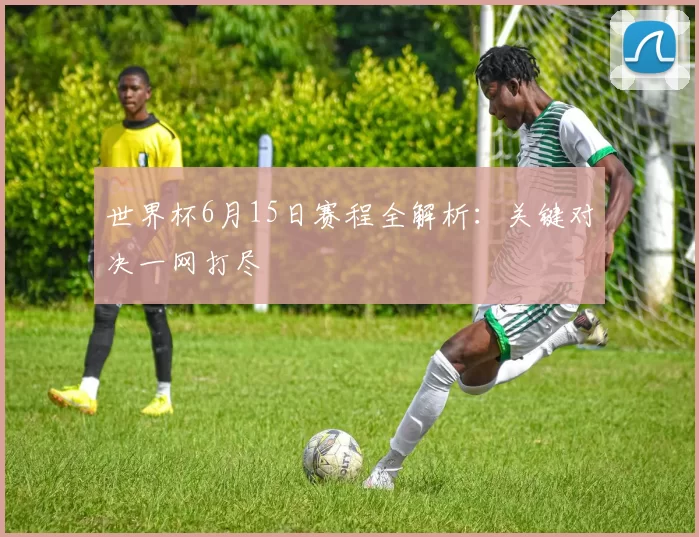 世界杯6月15日赛程全解析：关键对决一网打尽