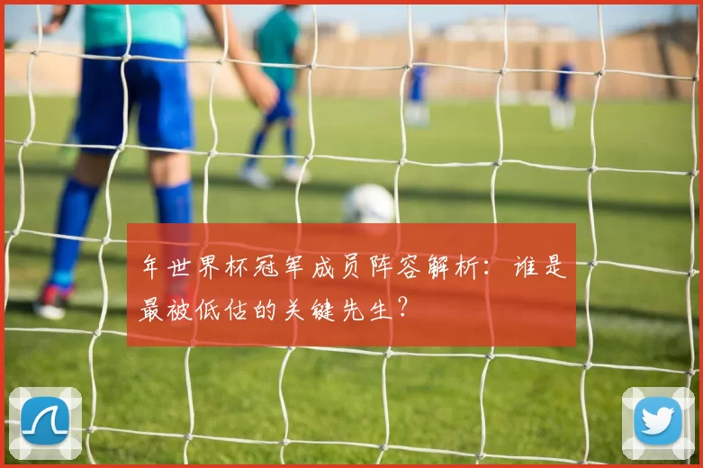 年世界杯冠军成员阵容解析：谁是最被低估的关键先生？