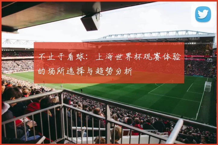 不止于看球：上海世界杯观赛体验的场所选择与趋势分析