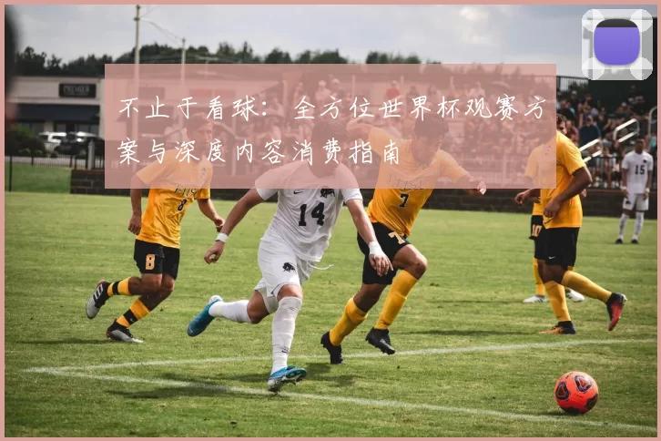 不止于看球:全方位世界杯观赛方案与深度内容消费指南