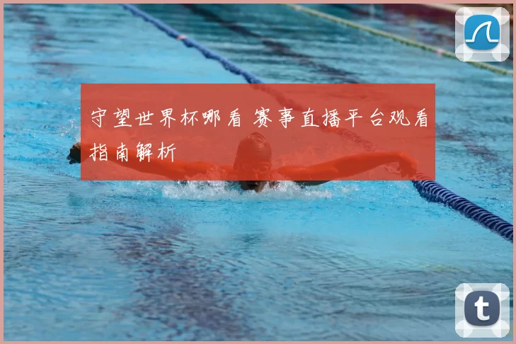 守望世界杯哪看 赛事直播平台观看指南解析