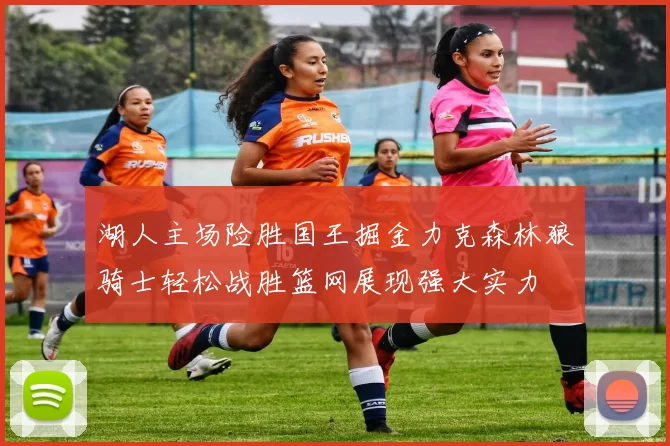 湖人主场险胜国王掘金力克森林狼骑士轻松战胜篮网展现强大实力