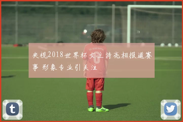 央视2018世界杯女主持亮相报道赛事 形象专业引关注