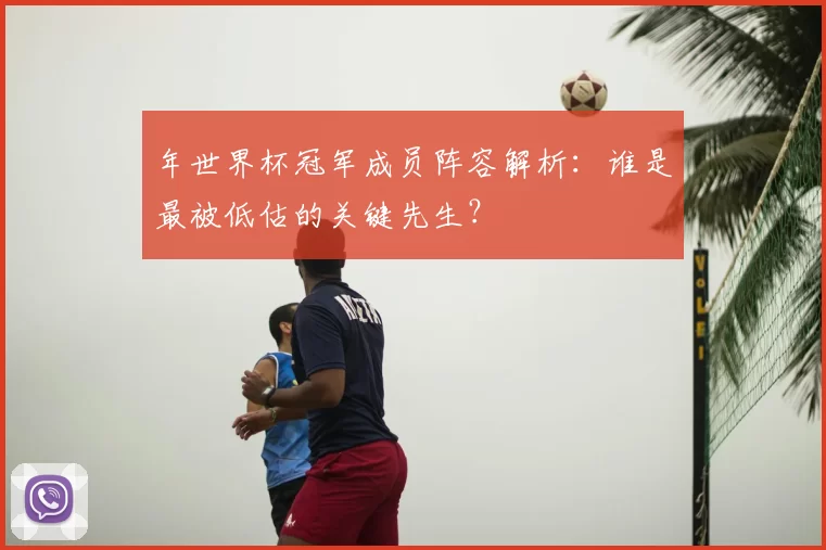 年世界杯冠军成员阵容解析：谁是最被低估的关键先生？