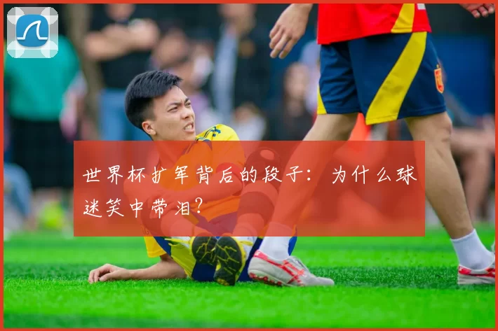 世界杯扩军背后的段子:为什么球迷笑中带泪?