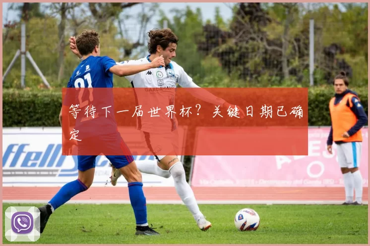 等待下一届世界杯?关键日期已确定